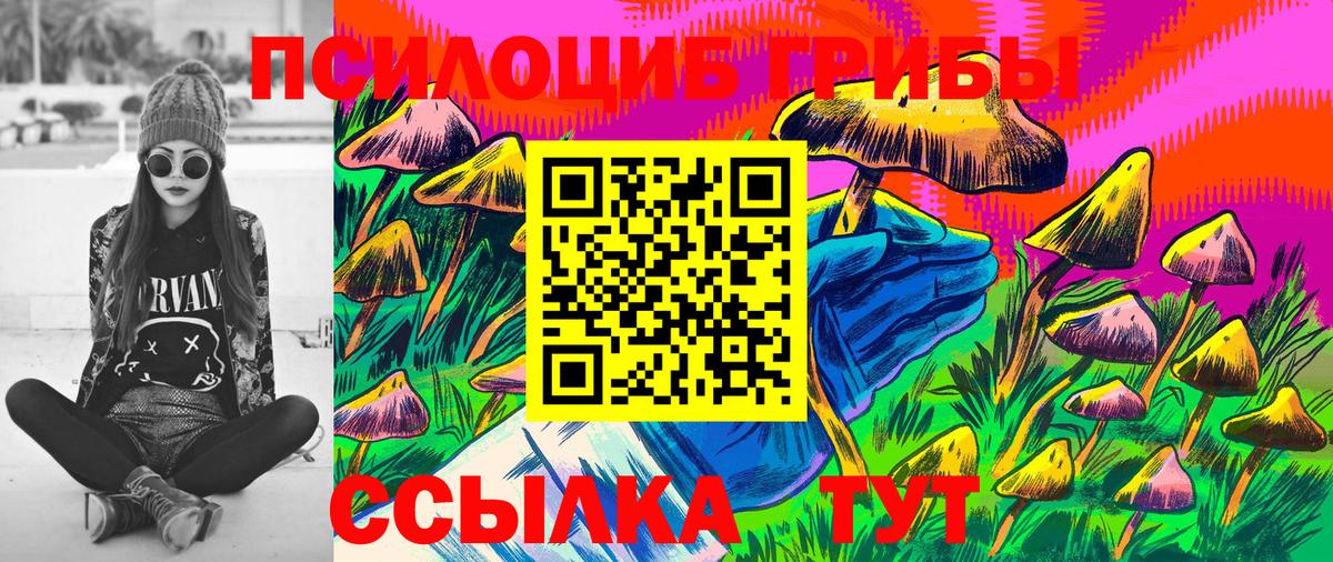 цены наркотик  Галлюциногенные грибы мицелий  Вход с VPN  Вязьма  Псилоцибиновые грибы Cubensis 